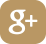 Google+